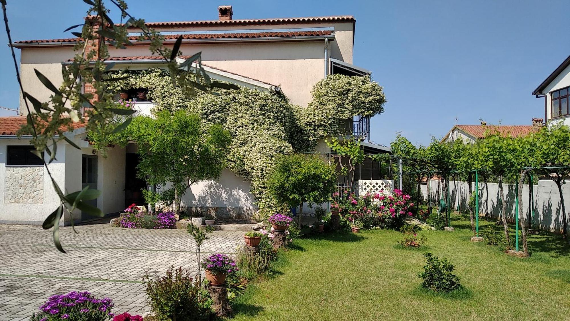 Apartment Sasa Bozac Poreč Extérieur photo